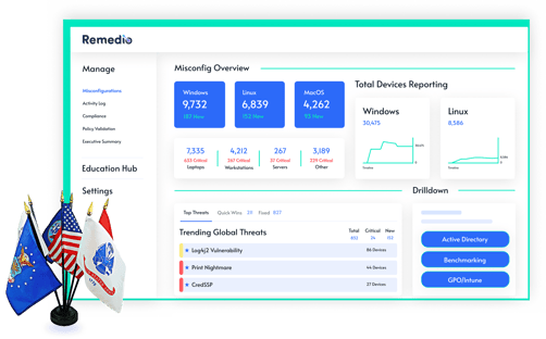 remedio-government-solution